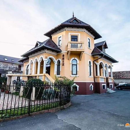 Pensiunea Onix Făgăraş Kültér fotó