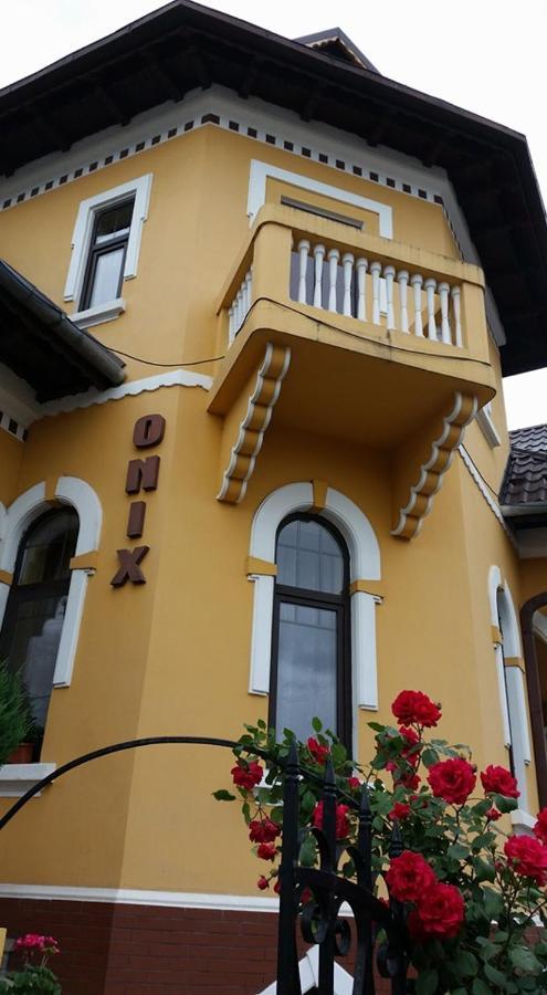 Pensiunea Onix Făgăraş Kültér fotó