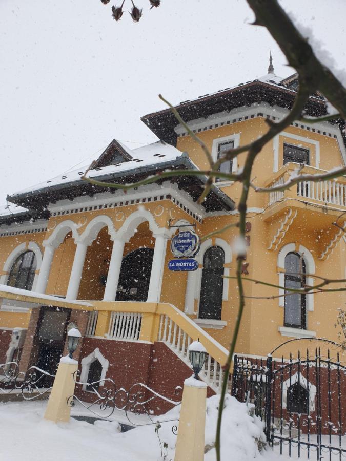 Pensiunea Onix Făgăraş Kültér fotó