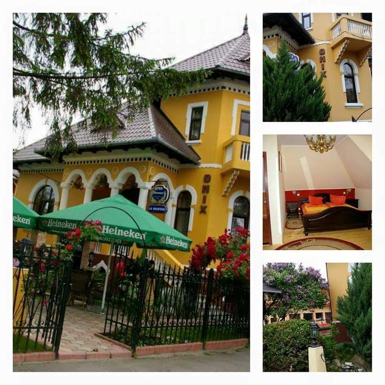 Pensiunea Onix Făgăraş Kültér fotó