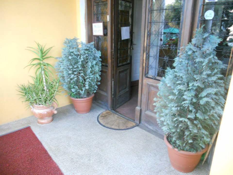 Pensiunea Onix Făgăraş Kültér fotó