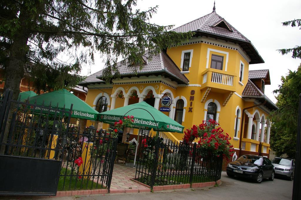 Pensiunea Onix Făgăraş Kültér fotó