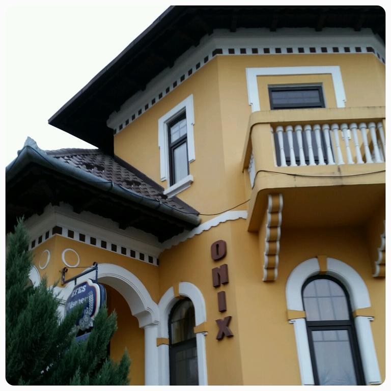 Pensiunea Onix Făgăraş Kültér fotó