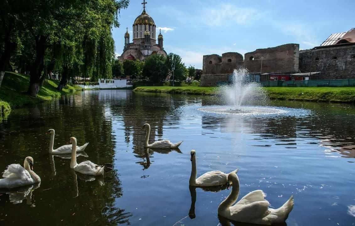 Pensiunea Onix Făgăraş Kültér fotó