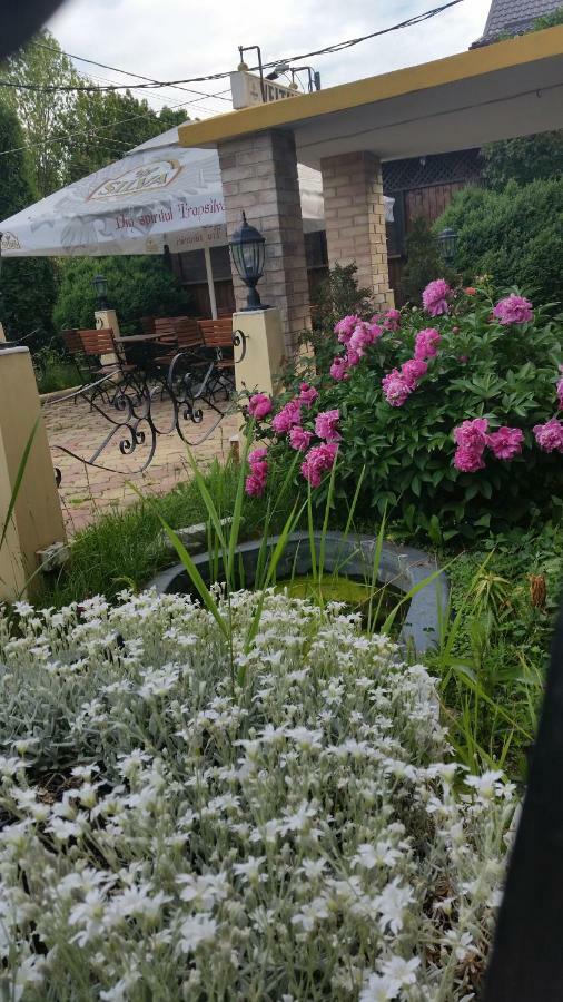 Pensiunea Onix Făgăraş Kültér fotó