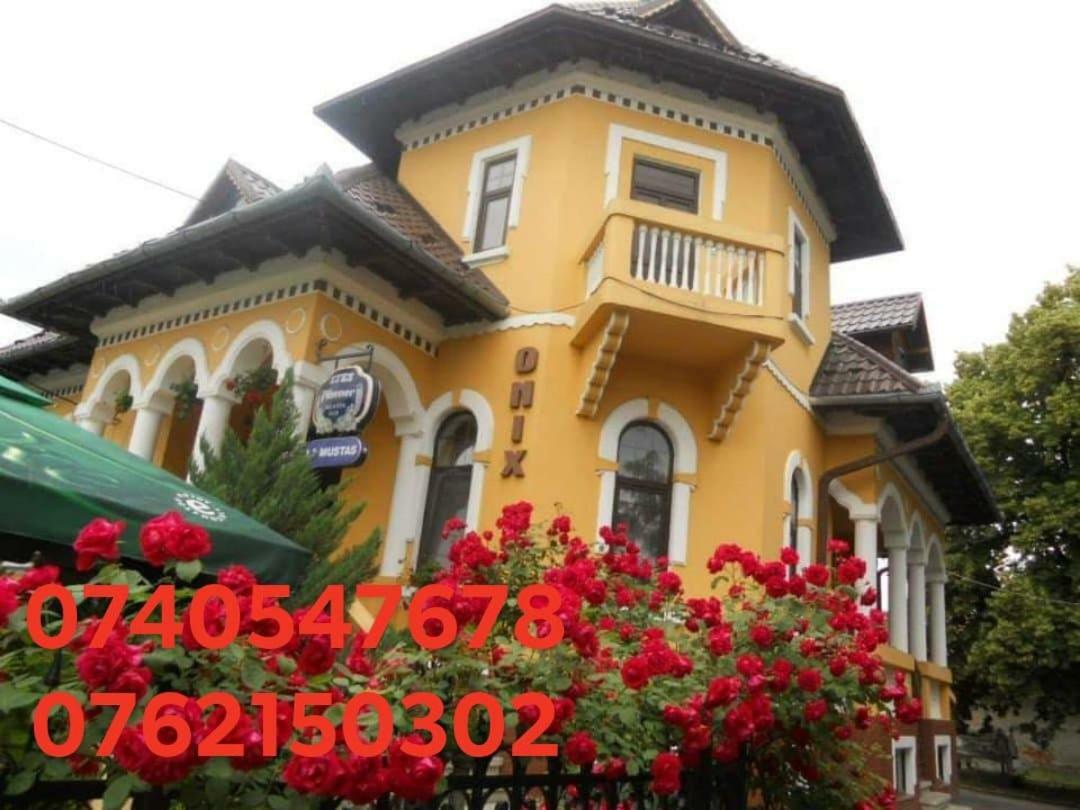 Pensiunea Onix Făgăraş Kültér fotó