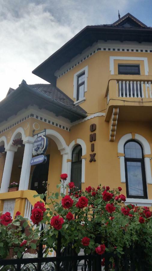 Pensiunea Onix Făgăraş Kültér fotó