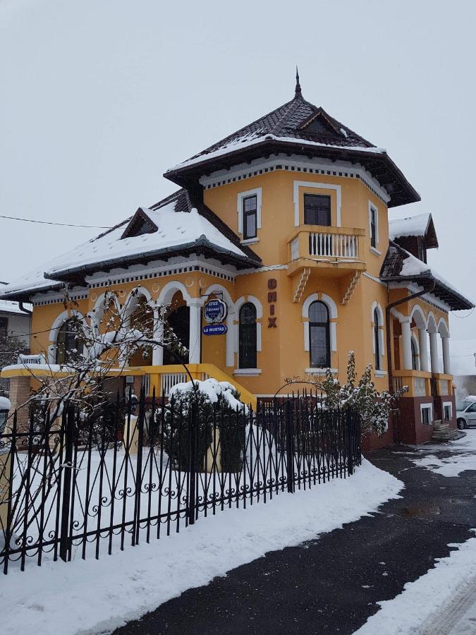 Pensiunea Onix Făgăraş Kültér fotó